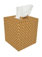 tissuebox4